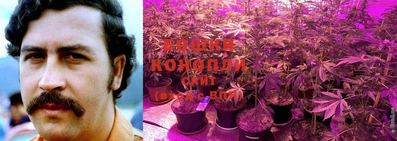 кракен как зайти  Болотное  Бошки марихуана LSD WEED  где купить  